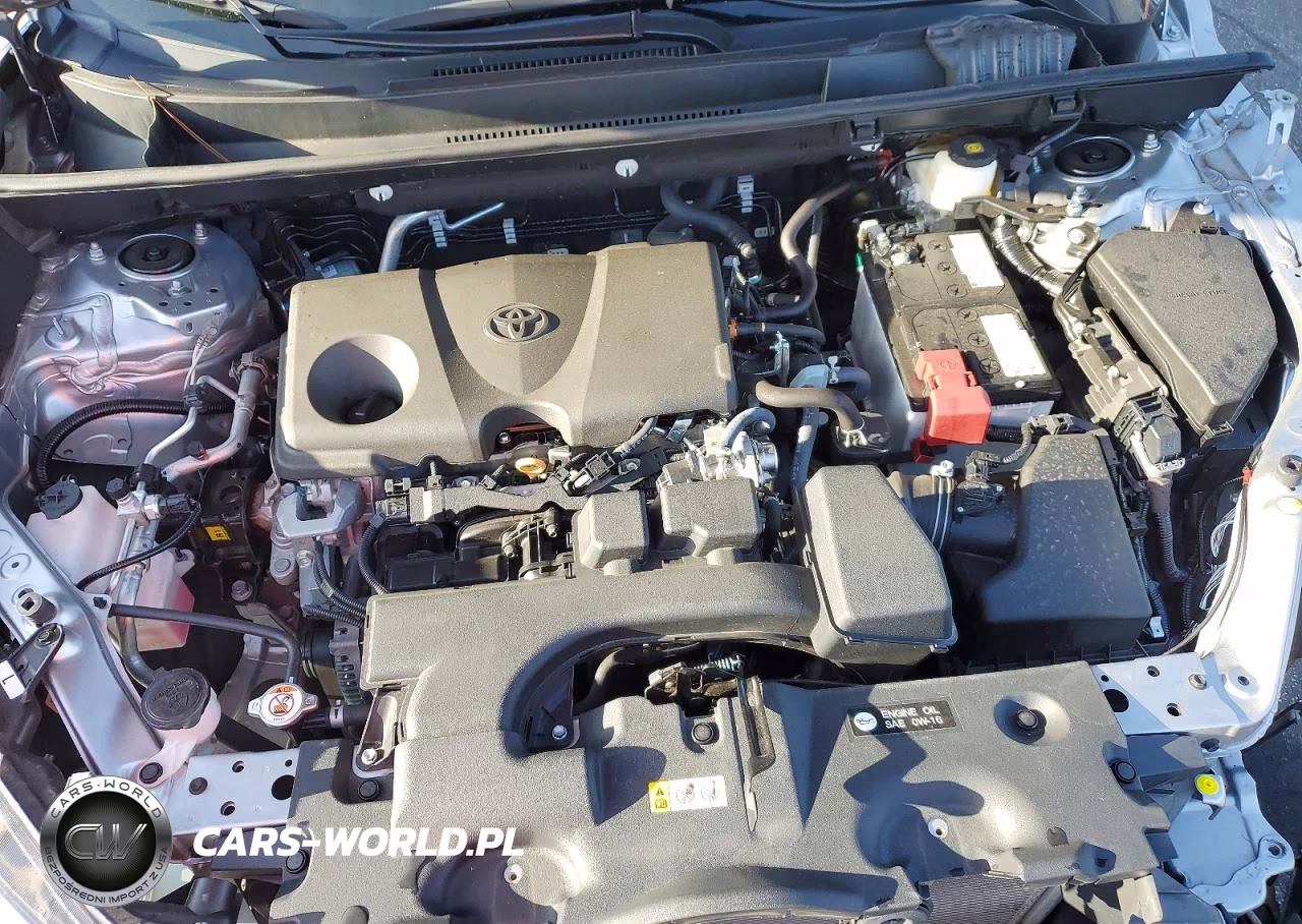 2024 Toyota Rav4 Xle VIN:2T3W1RFV2RC282649 - 11