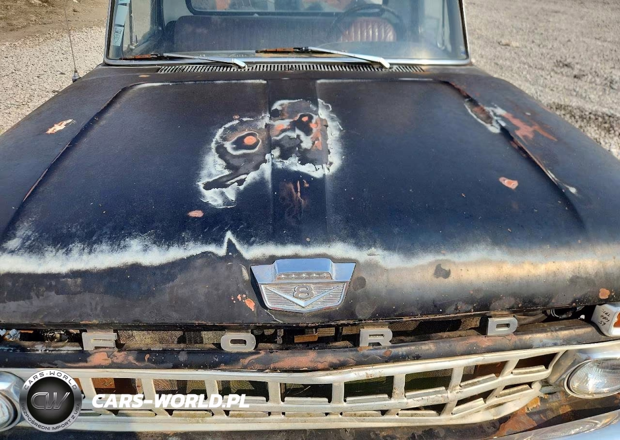 1965 Ford F100 VIN:F10DK663027 - 11