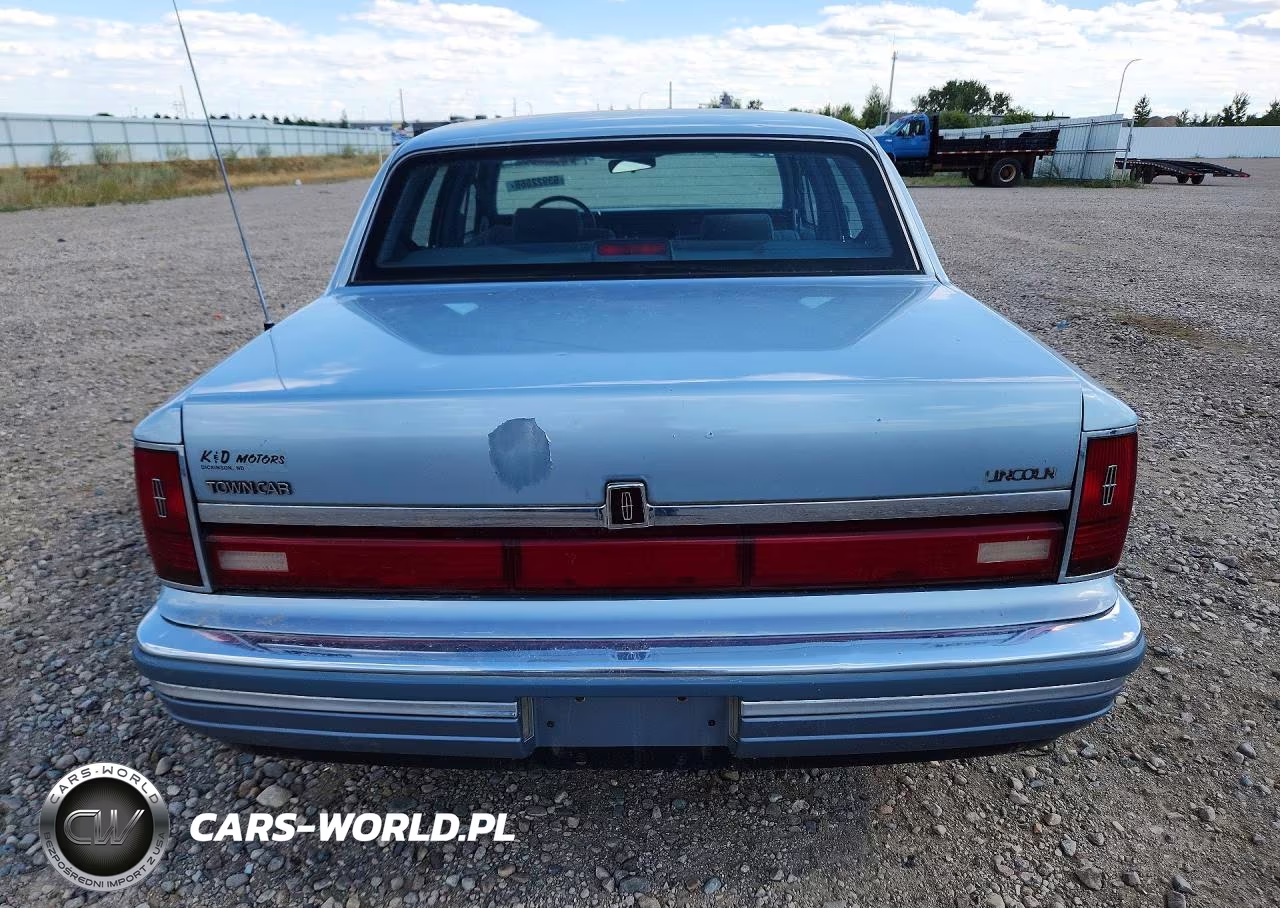 1990 Lincoln Town Car Signature VIN:1LNCM82F4LY804448 - 6