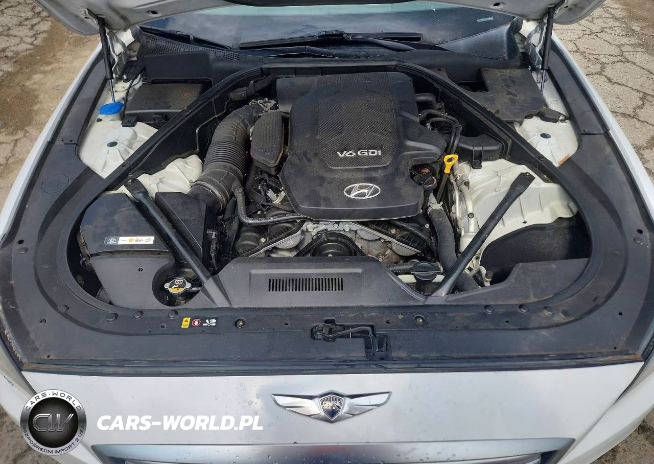 2015 Hyundai Genesis 3.8L VIN:KMHGN4JE2FU058335 - 11