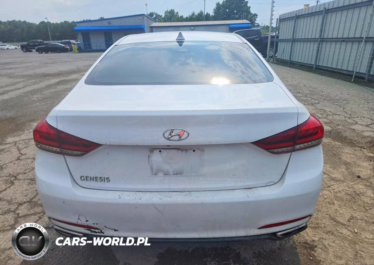 2015 Hyundai Genesis 3.8L VIN:KMHGN4JE2FU058335 - 6