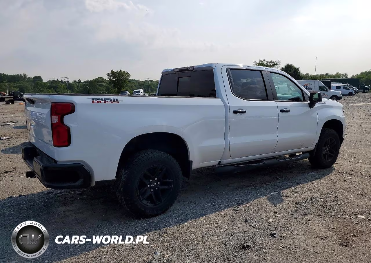 2020 Chevrolet Silverado K1500 Lt Trail Boss VIN:1GCPYFED7LZ192605 - 3