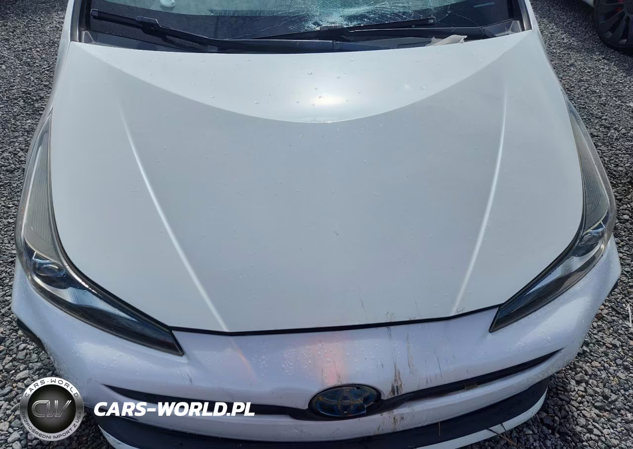 2019 Toyota Prius Xle VIN:JTDKARFU4K3087004 - 11