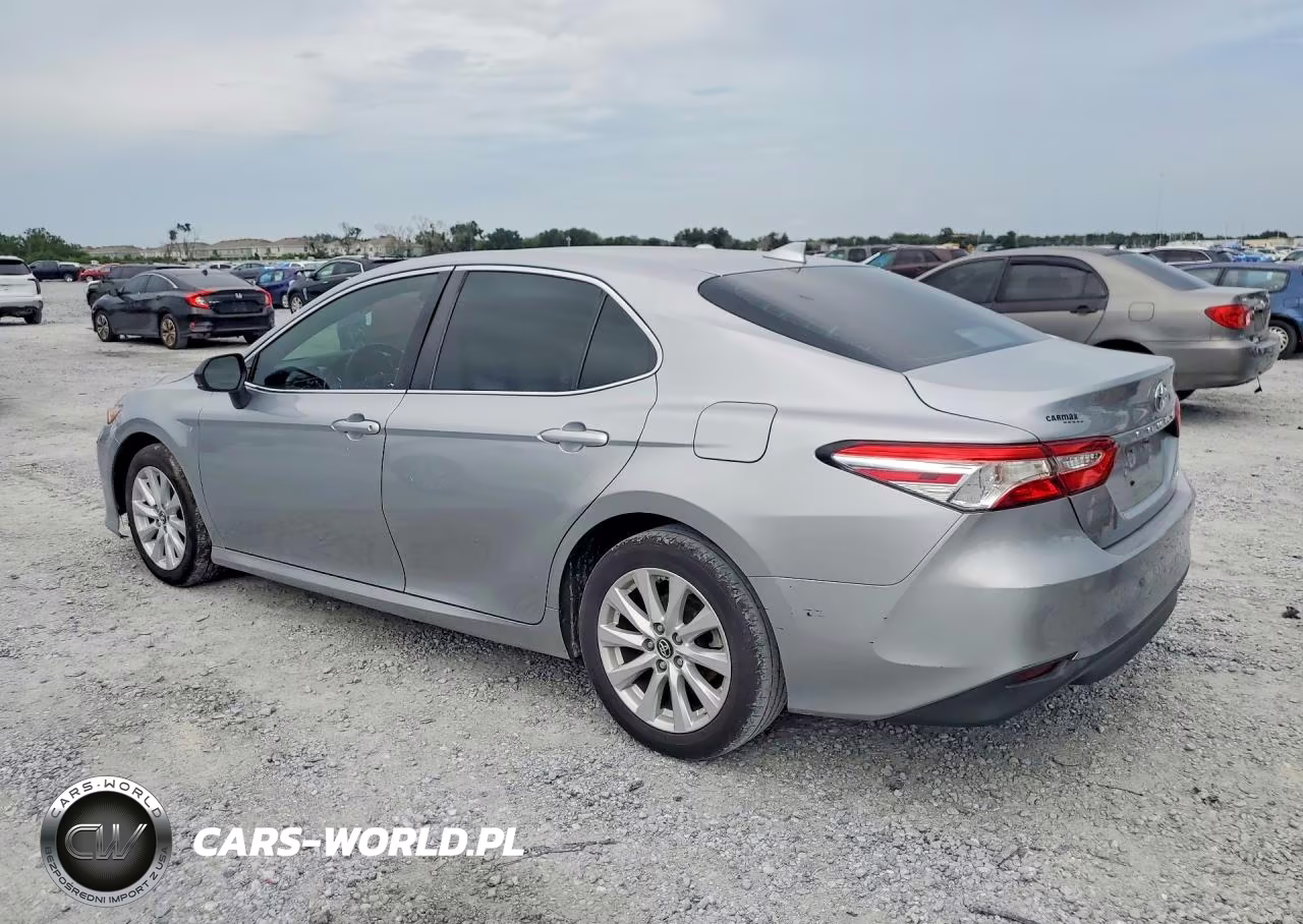 2019 Toyota Camry Le VIN:4T1B11HK9KU245503 - 2