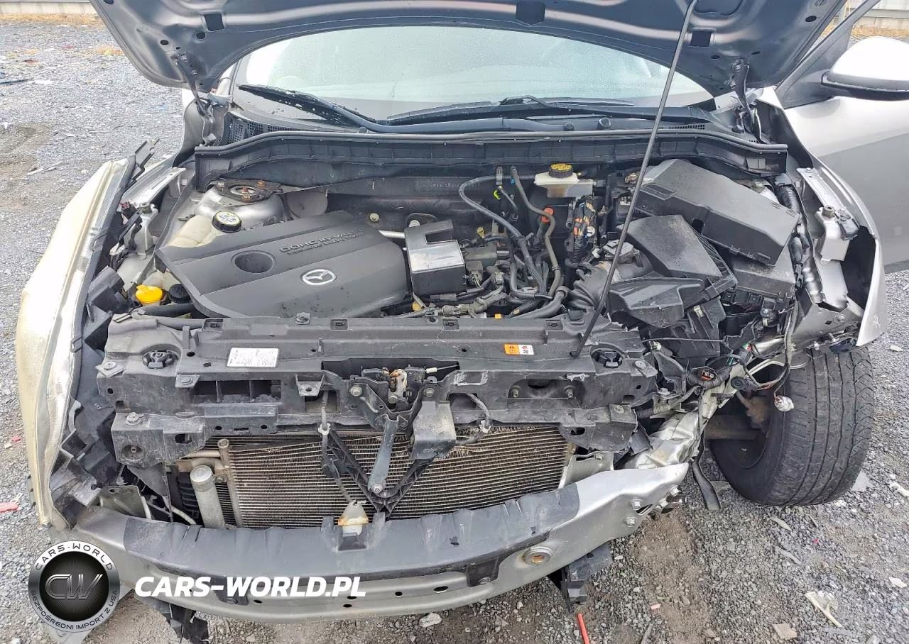 2010 Mazda 3 I VIN:JM1BL1SG1A1349972 - 11