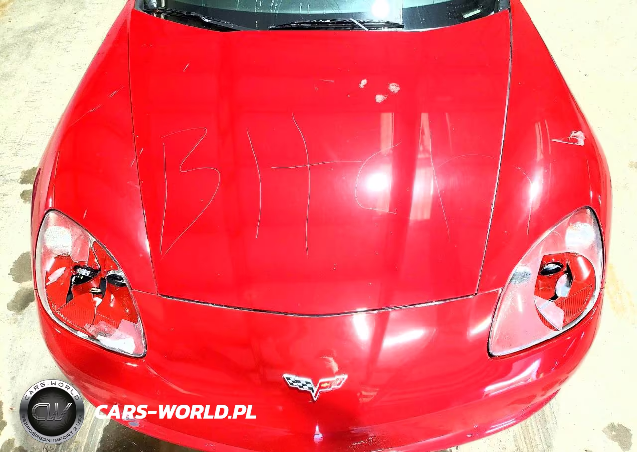 2005 Chevrolet Corvette VIN:1G1YY24U755102015 - 11