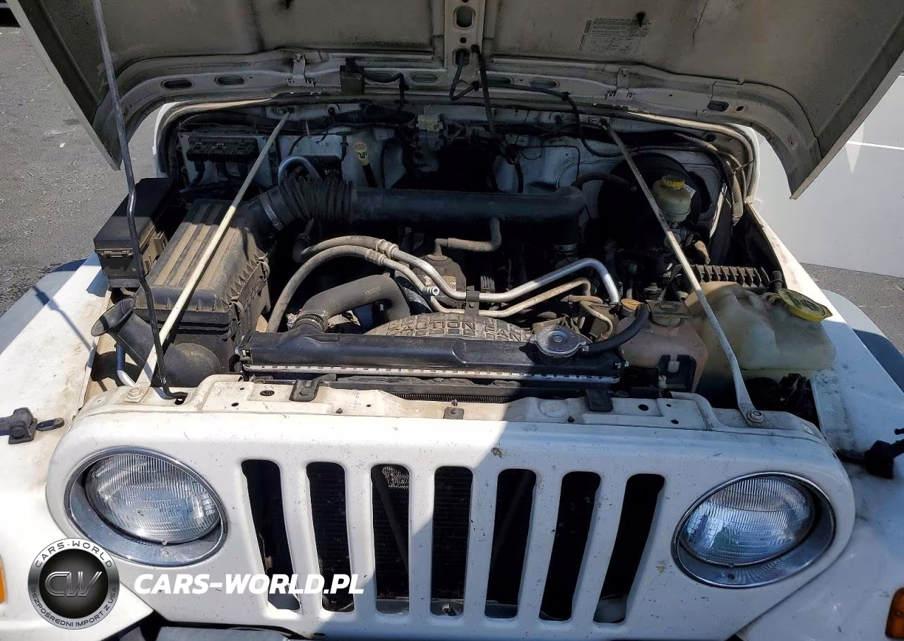 2004 Jeep Wrangler X VIN:1J4FA39SX4P749537 - 11
