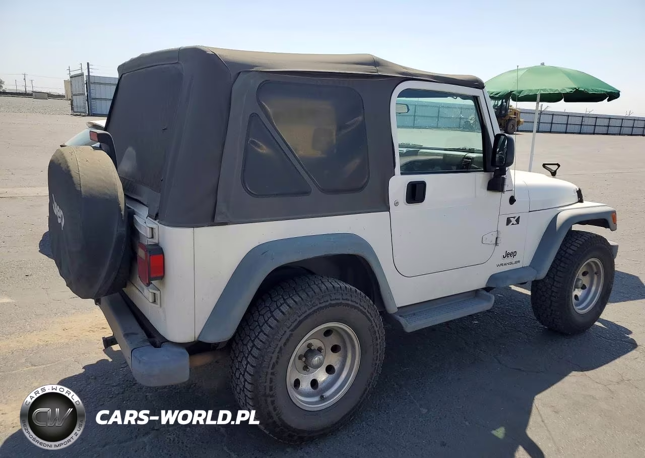 2004 Jeep Wrangler X VIN:1J4FA39SX4P749537 - 3