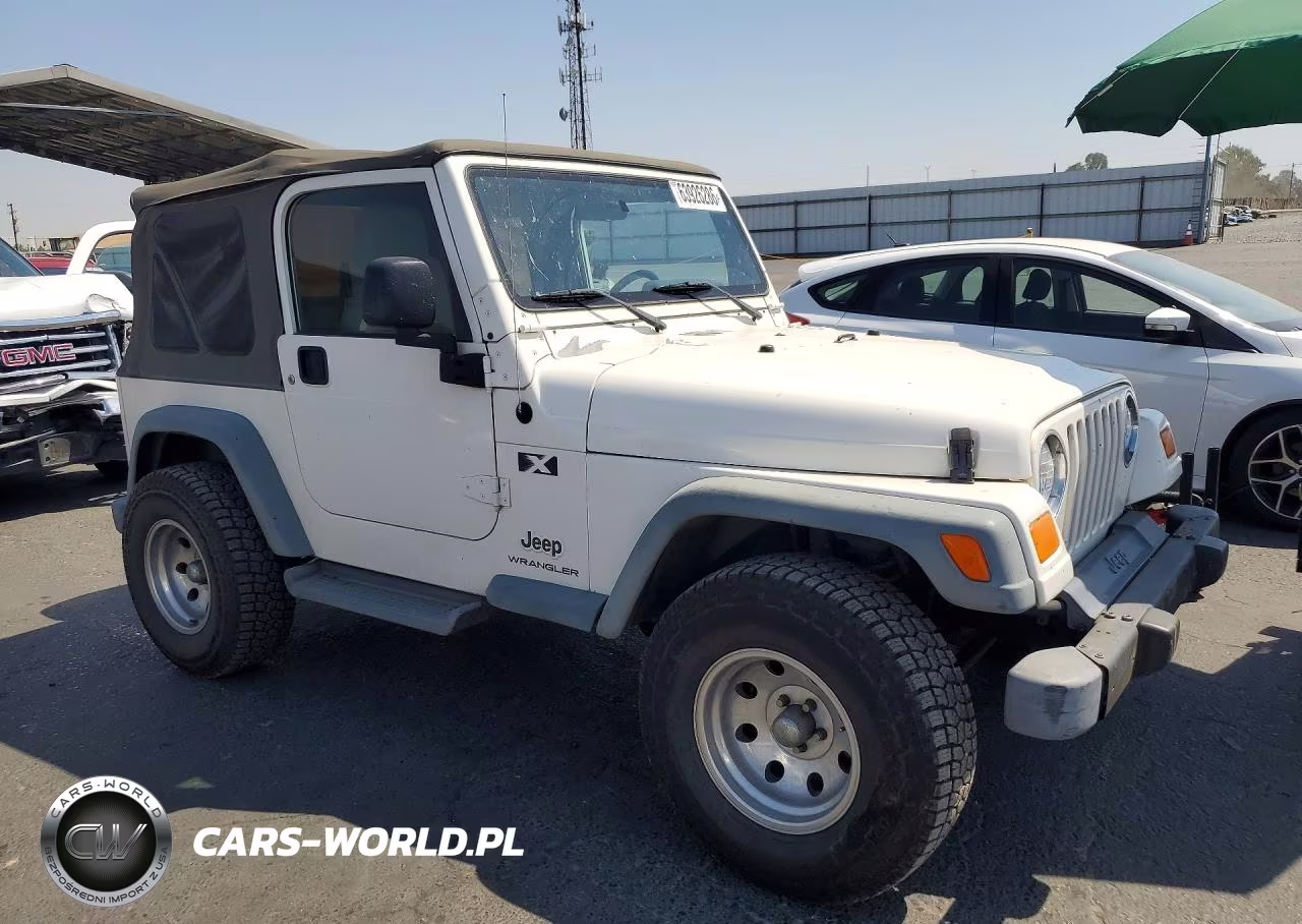 2004 Jeep Wrangler X VIN:1J4FA39SX4P749537 - 4
