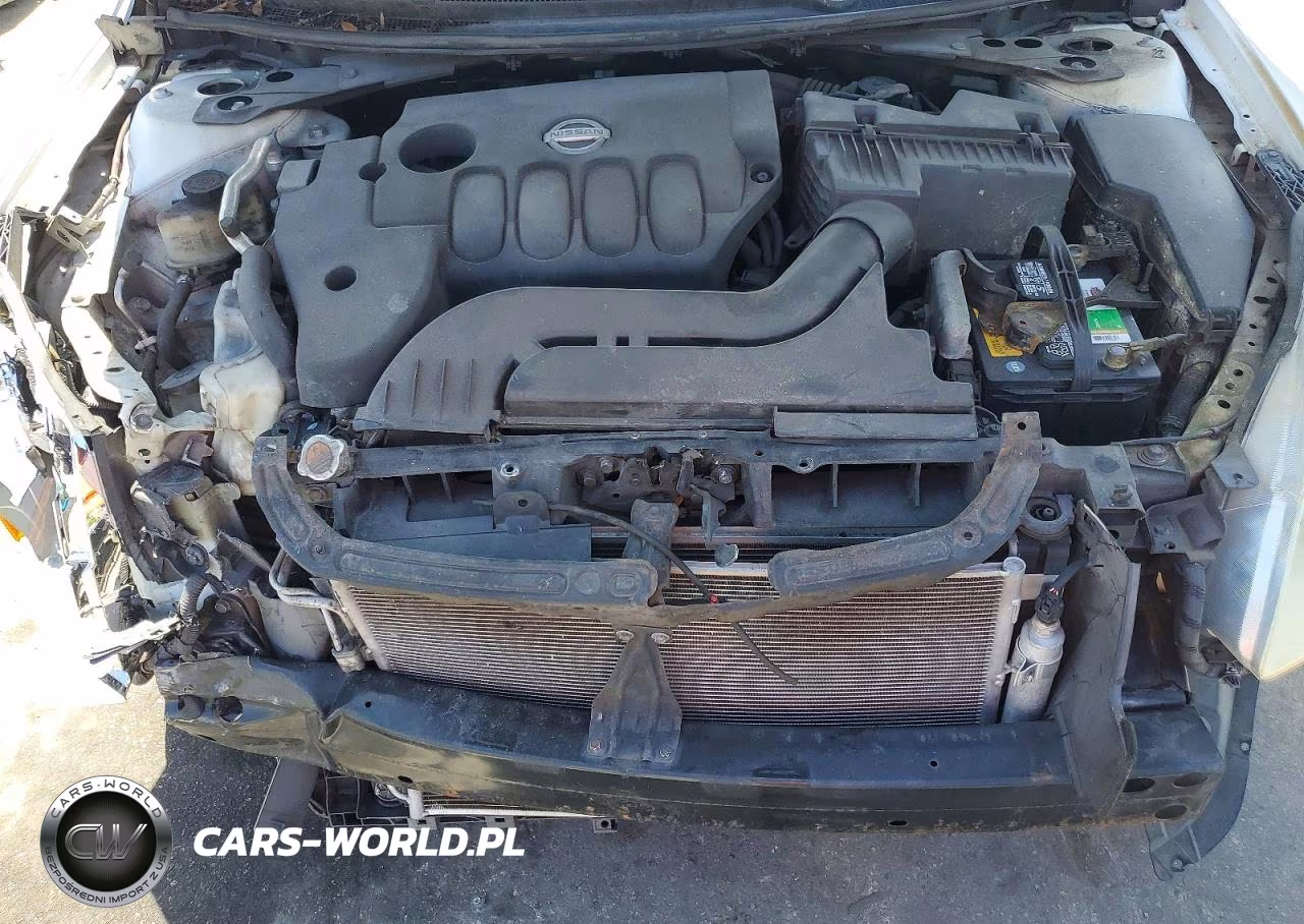 2010 Nissan Altima 2.5 VIN:1N4AL2AP7AN521813 - 11