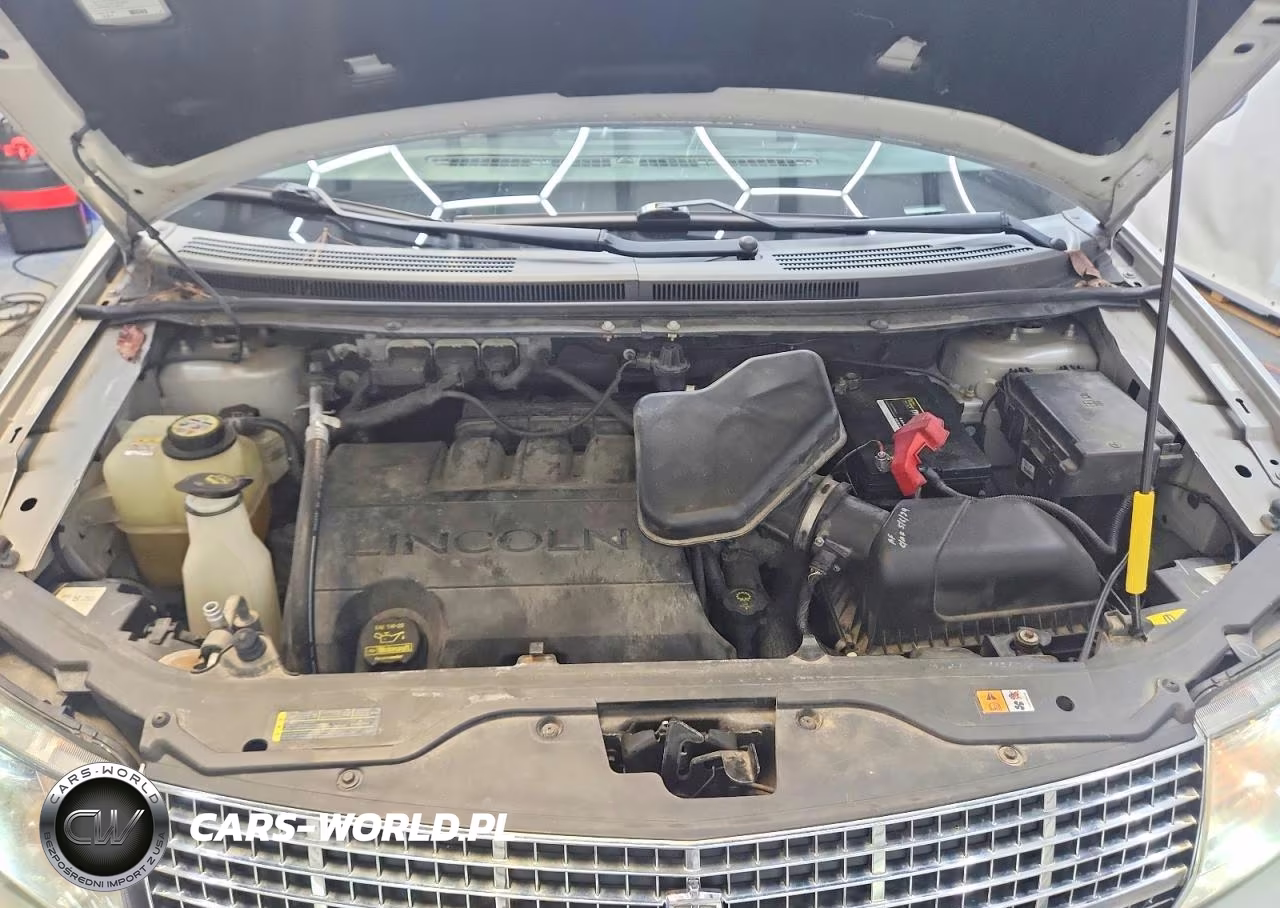 2009 Lincoln Mkx VIN:2LMDU68C79BJ01457 - 12