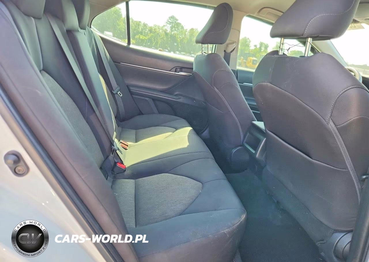 2023 Toyota Camry Le VIN:4T1C11AK0PU138653 - 10