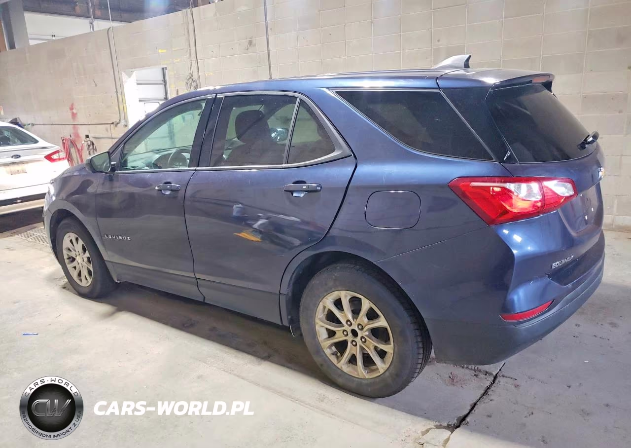 2019 Chevrolet Equinox Ls VIN:3GNAXHEVXKL255996 - 2