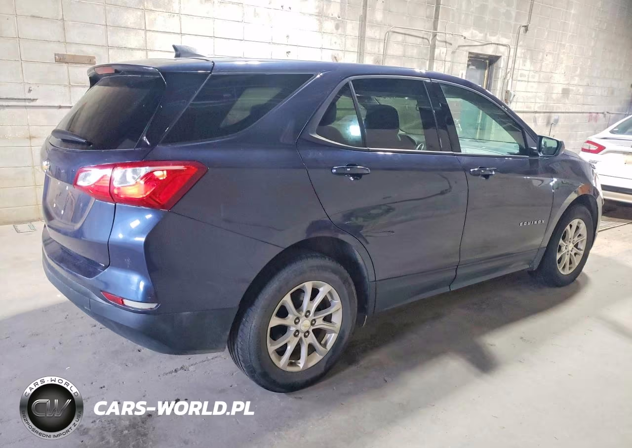 2019 Chevrolet Equinox Ls VIN:3GNAXHEVXKL255996 - 3