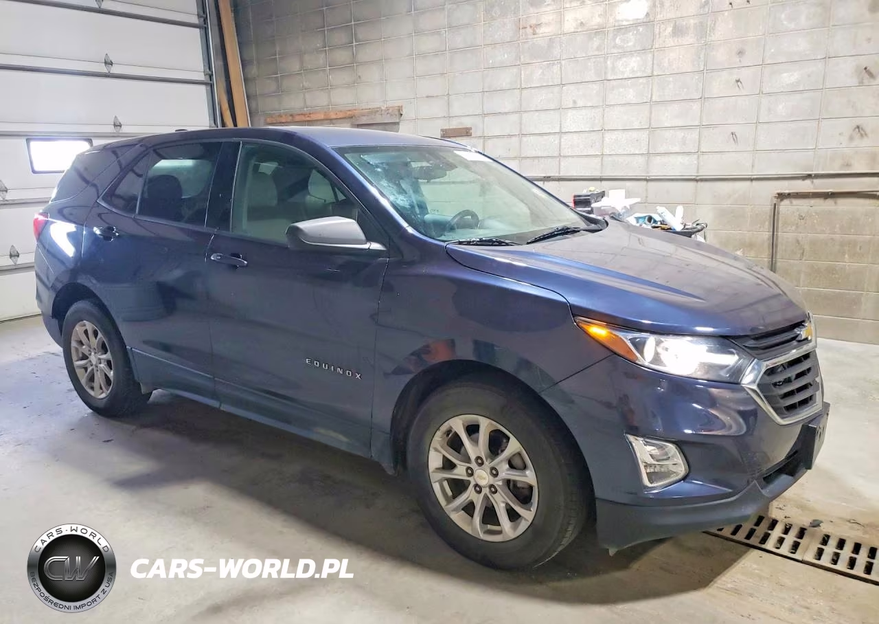 2019 Chevrolet Equinox Ls VIN:3GNAXHEVXKL255996 - 4