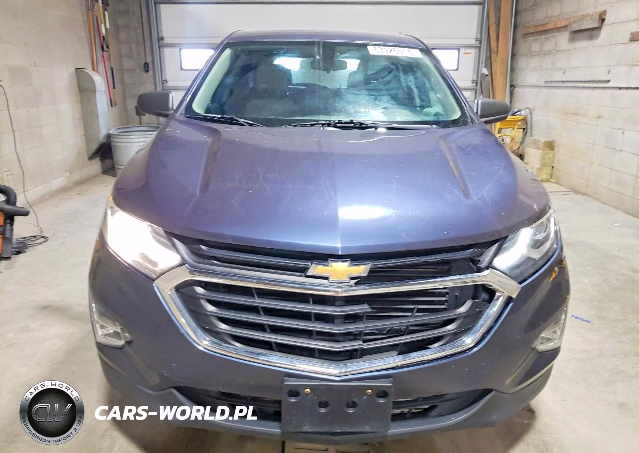 2019 Chevrolet Equinox Ls VIN:3GNAXHEVXKL255996 - 5