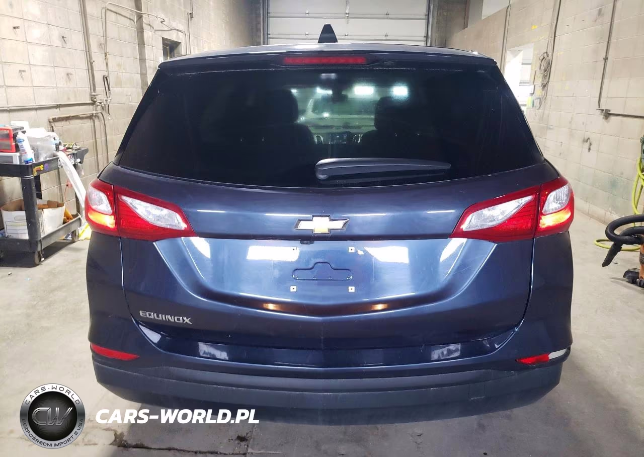 2019 Chevrolet Equinox Ls VIN:3GNAXHEVXKL255996 - 6