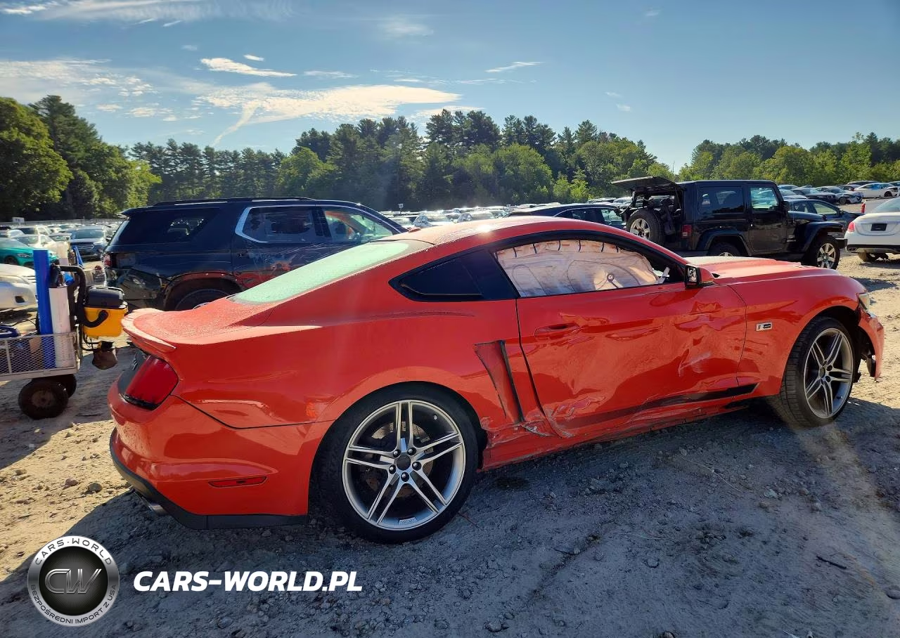 2015 Ford Mustang Gt VIN:1FA6P8CF8F5384017 - 3