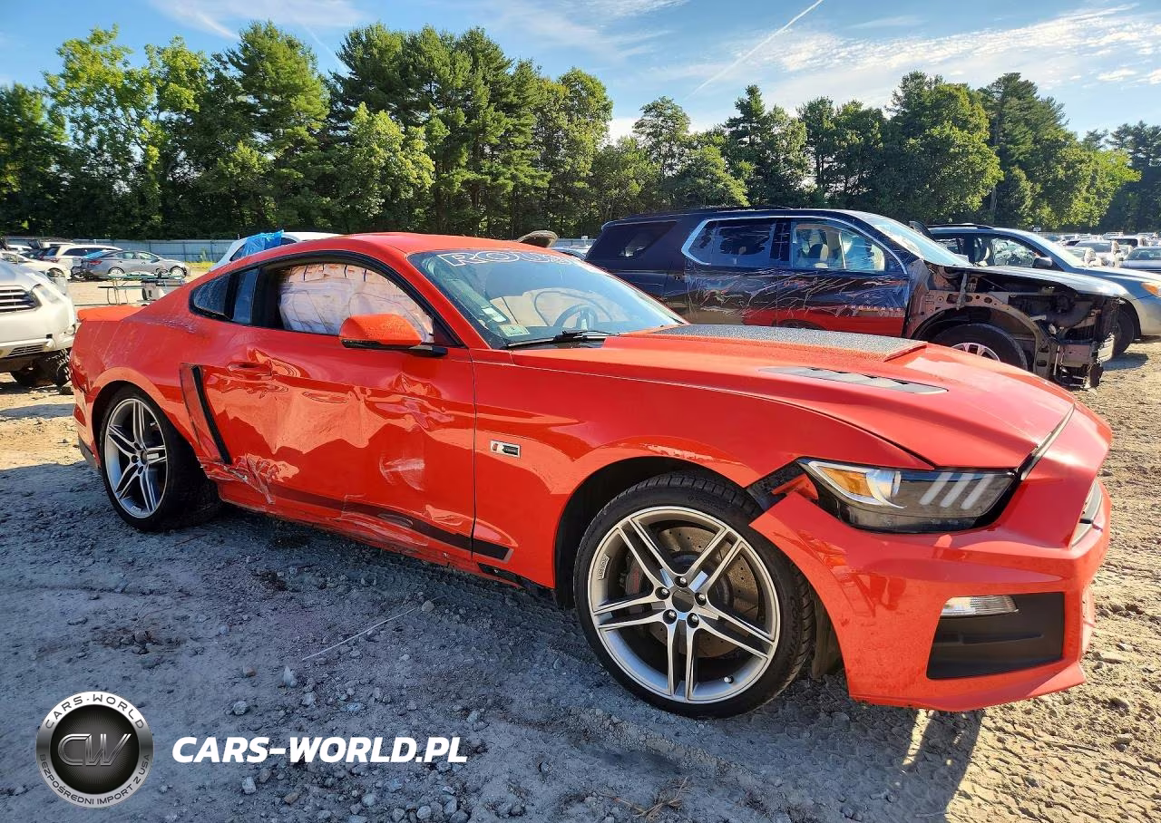 2015 Ford Mustang Gt VIN:1FA6P8CF8F5384017 - 4
