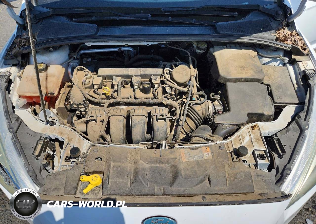 2015 Ford Focus Se VIN:1FADP3K2XFL222054 - 11