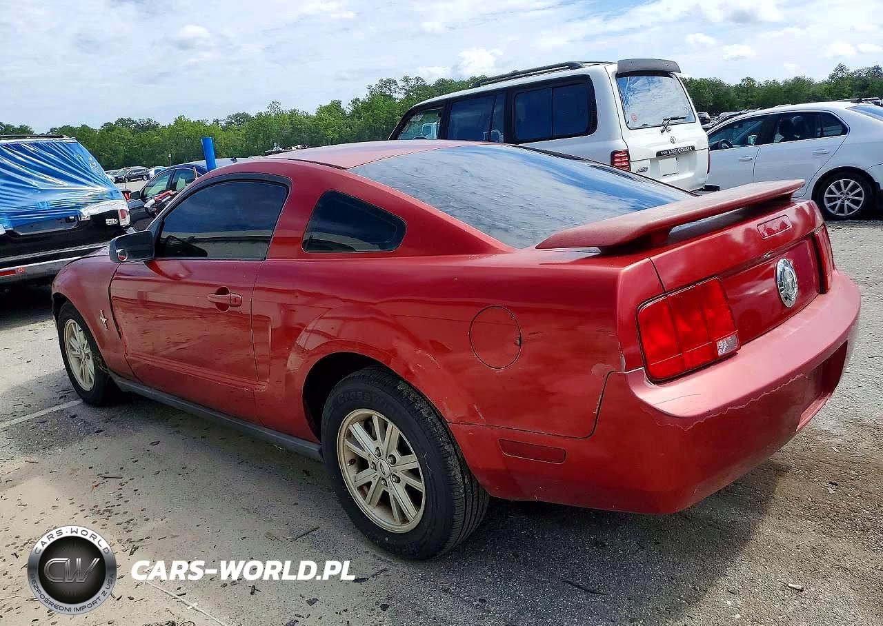 2005 Ford Mustang VIN:1ZVFT80N455157405 - 2