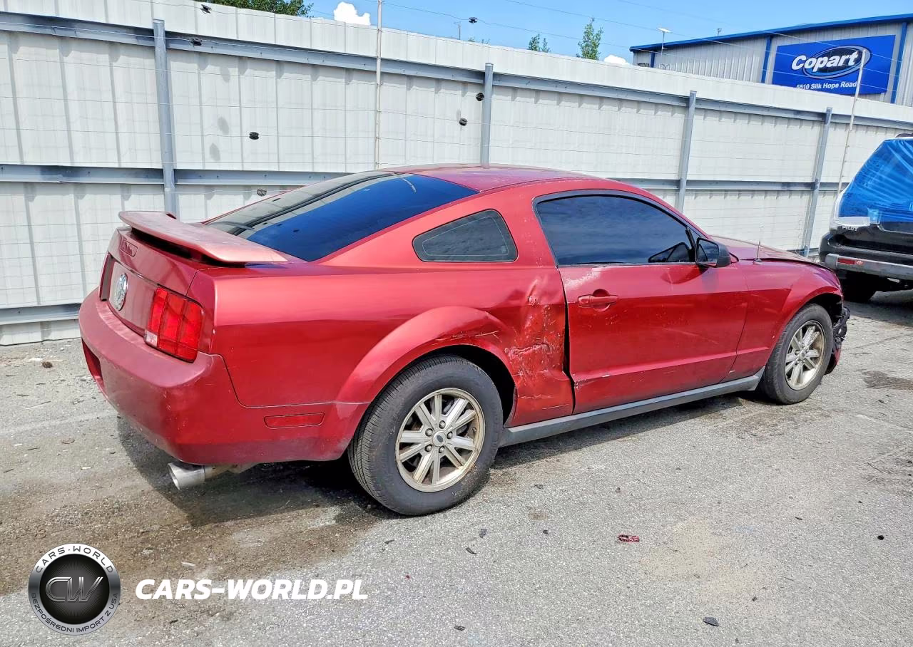 2005 Ford Mustang VIN:1ZVFT80N455157405 - 3