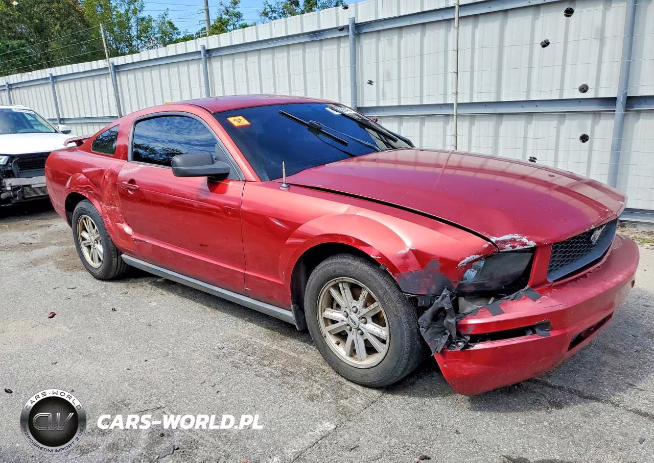 2005 Ford Mustang VIN:1ZVFT80N455157405 - 4