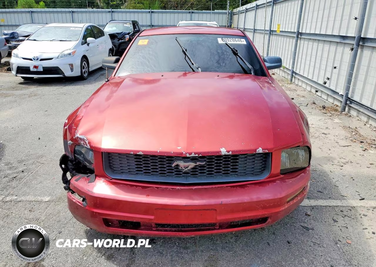 2005 Ford Mustang VIN:1ZVFT80N455157405 - 5
