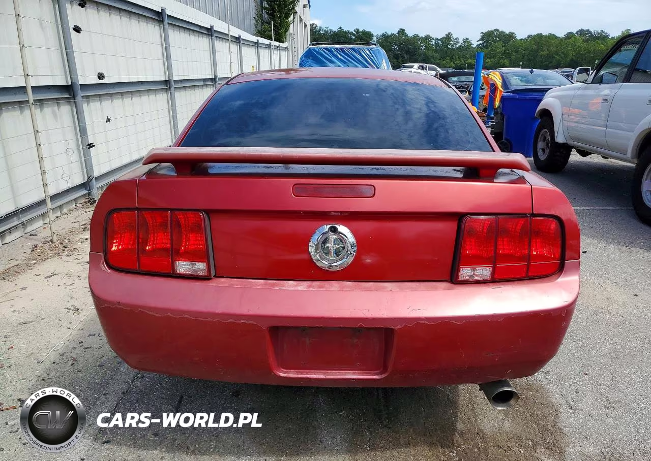2005 Ford Mustang VIN:1ZVFT80N455157405 - 6
