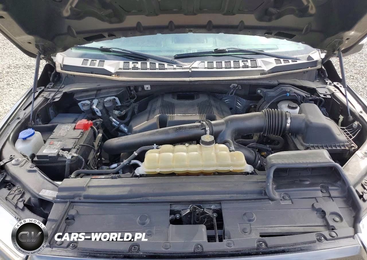 2020 Ford F150 Supercrew VIN:1FTEW1E43LKE73177 - 11