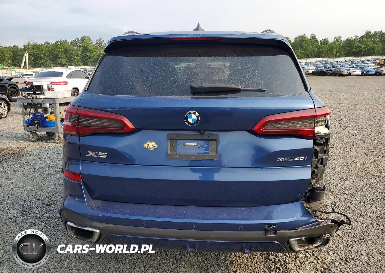 2019 BMW X5 xDrive40I VIN:5UXCR6C51KLL64098 - 6