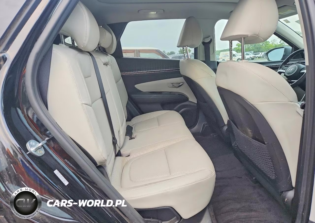 2023 Hyundai Tucson Limited VIN:KM8JFDA26PU114867 - 11