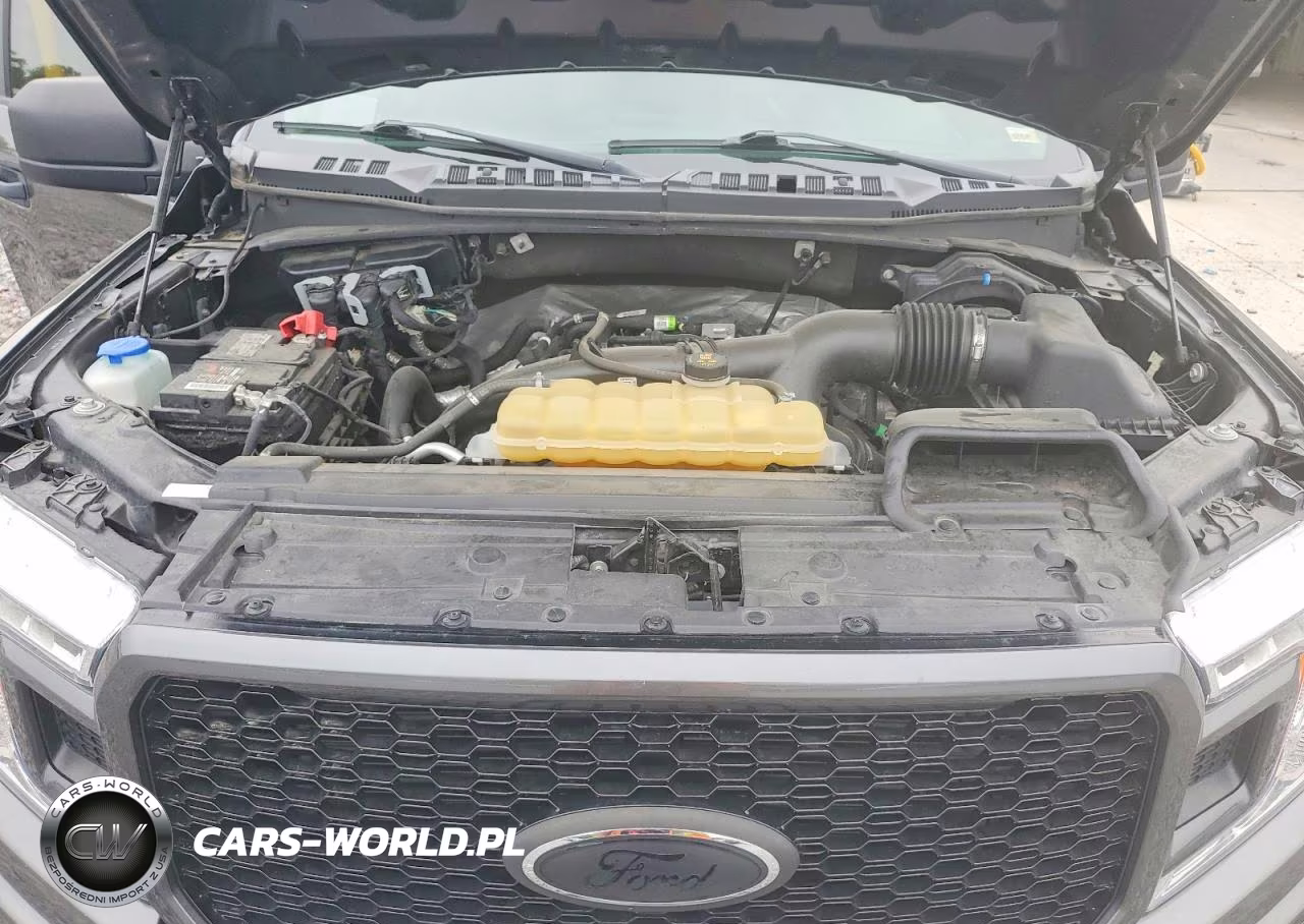 2020 Ford F150 Supercrew VIN:1FTEW1EP1LKD39004 - 11