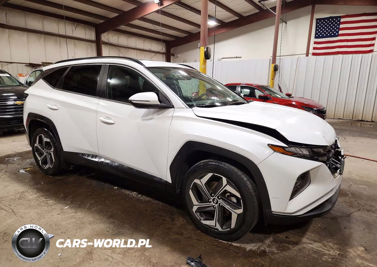 2022 Hyundai Tucson Sel VIN:5NMJFCAEXNH021069 - 4