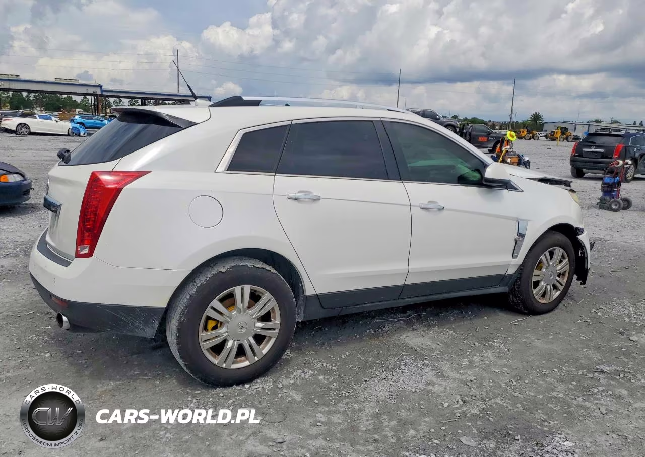 2010 Cadillac Srx Luxury Collection VIN:3GYFNAEY5AS650897 - 3