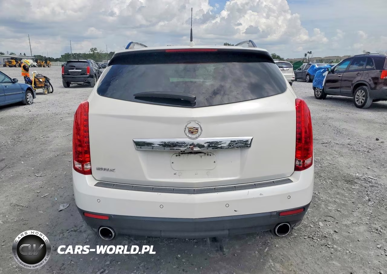 2010 Cadillac Srx Luxury Collection VIN:3GYFNAEY5AS650897 - 6