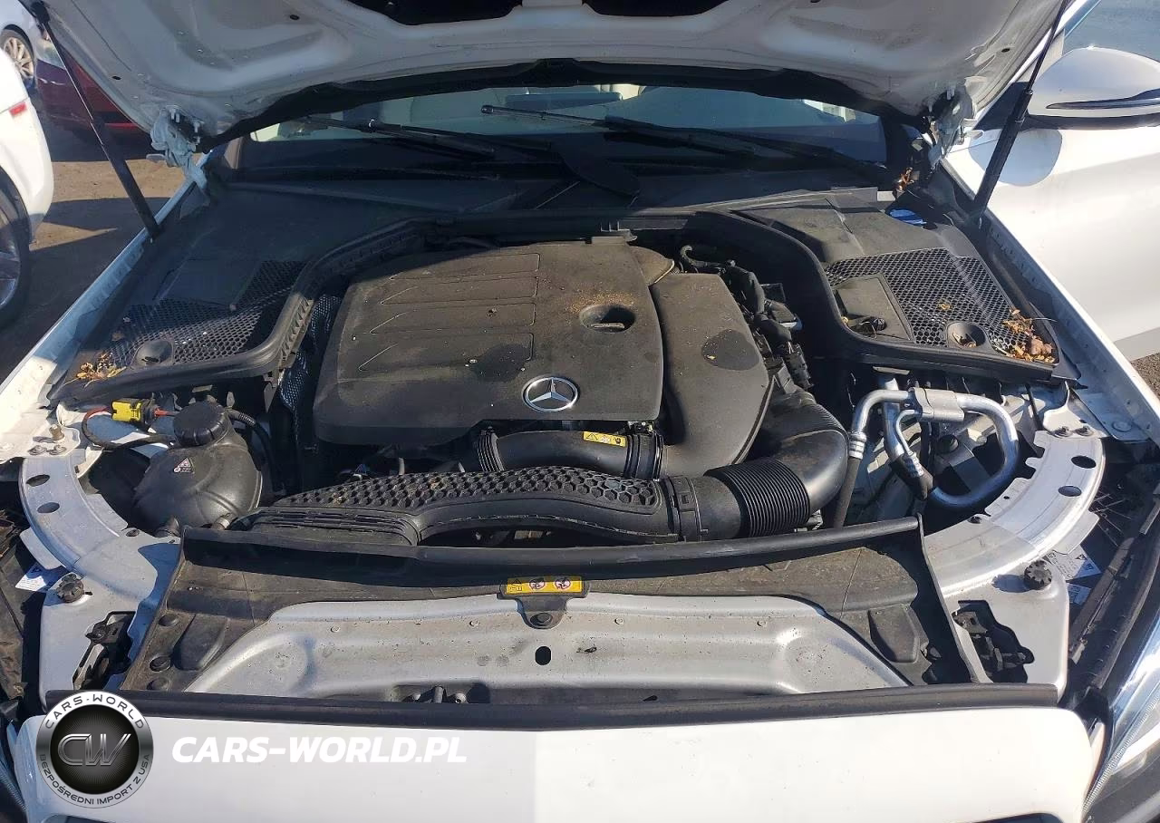 2020 Mercedes-Benz C 300 4Matic VIN:W1KWF8EB8LR574112 - 11