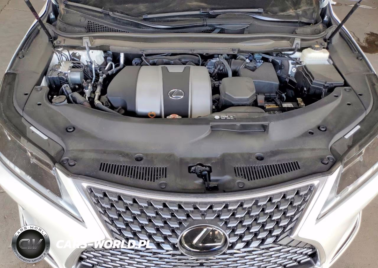 2021 Lexus Rx 350 VIN:2T2HZMAAXMC189514 - 11