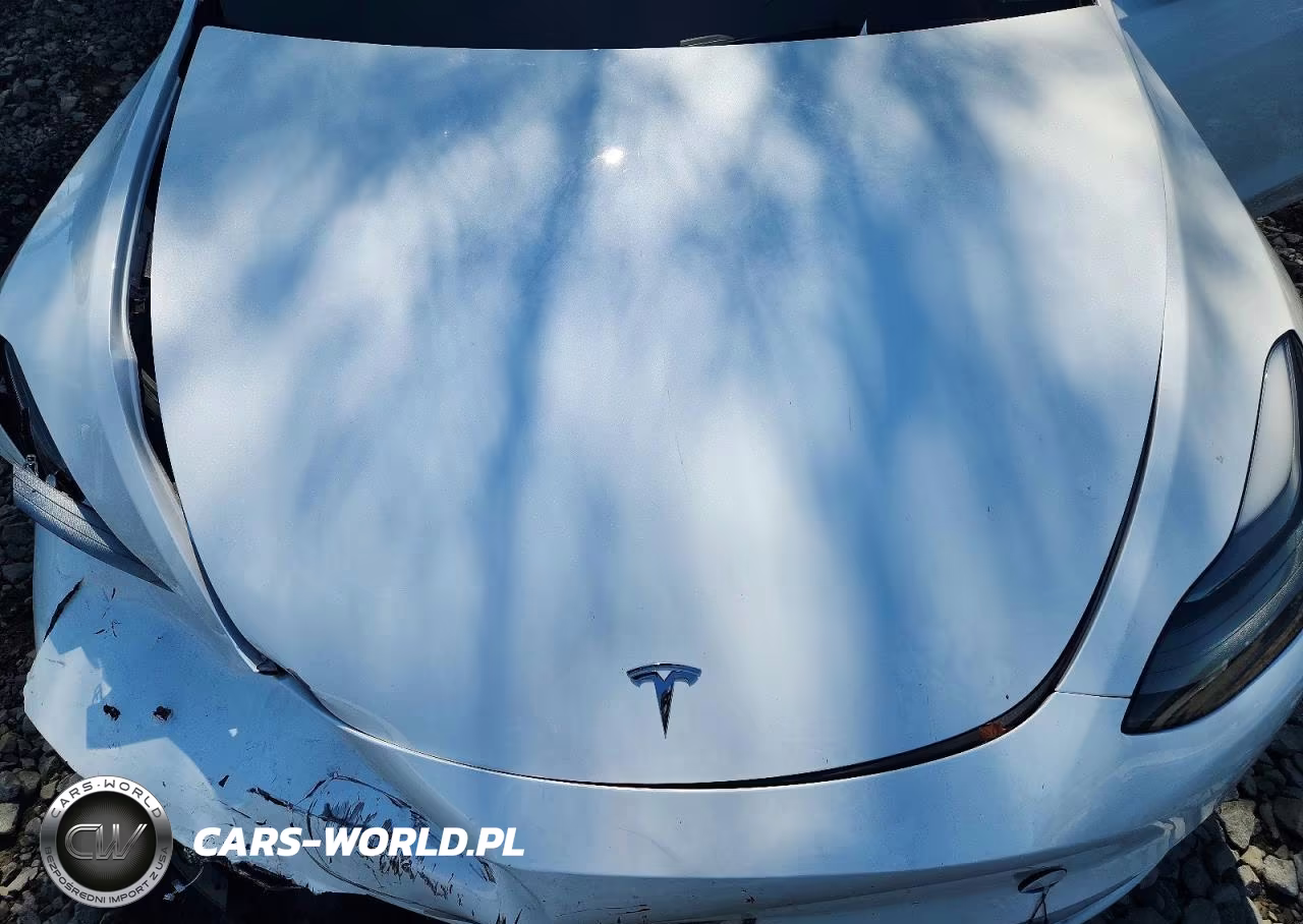 2023 Tesla Model Y VIN:7SAYGDEE9PF683342 - 11