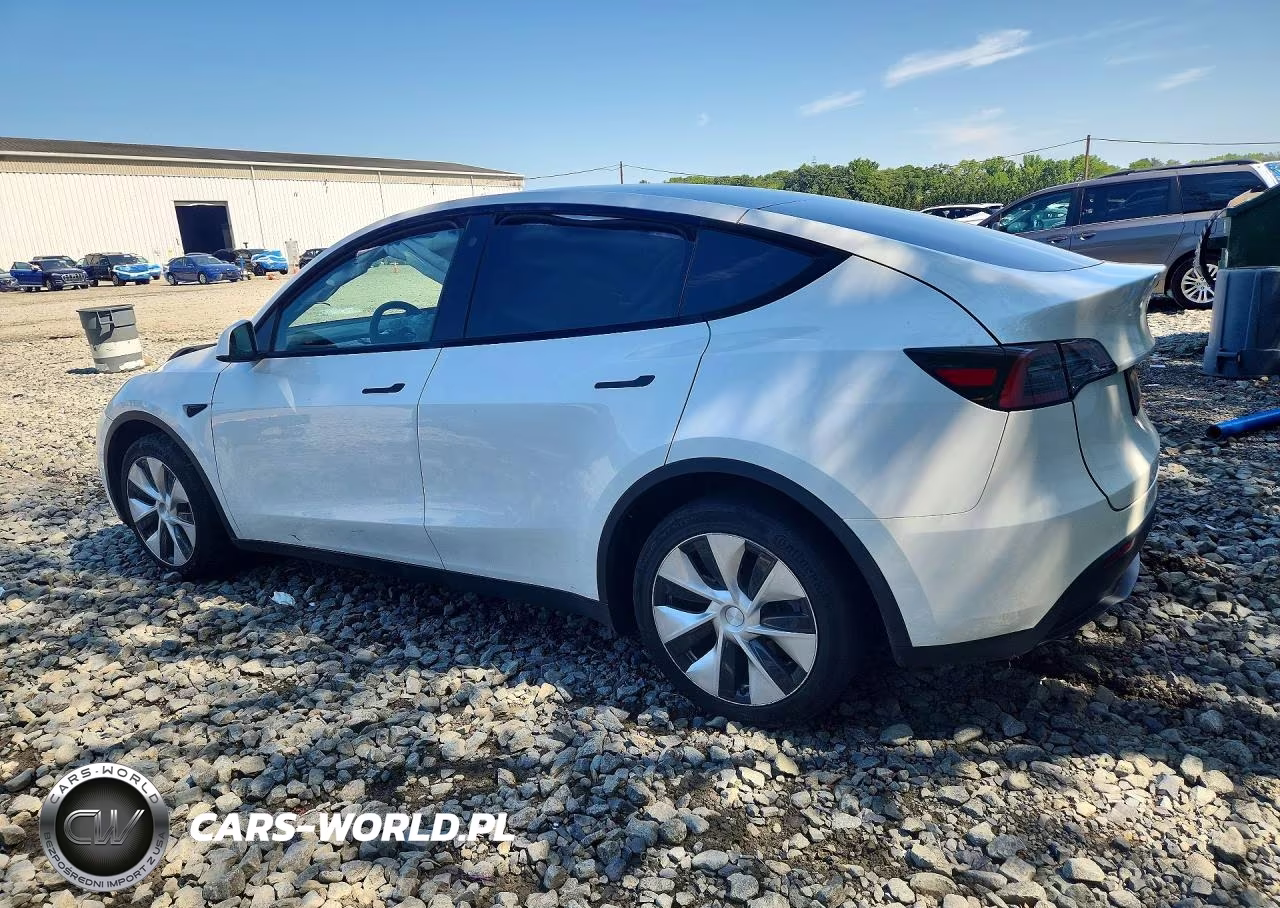 2023 Tesla Model Y VIN:7SAYGDEE9PF683342 - 2