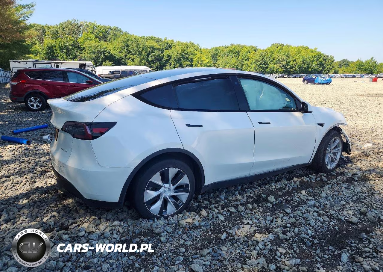 2023 Tesla Model Y VIN:7SAYGDEE9PF683342 - 3