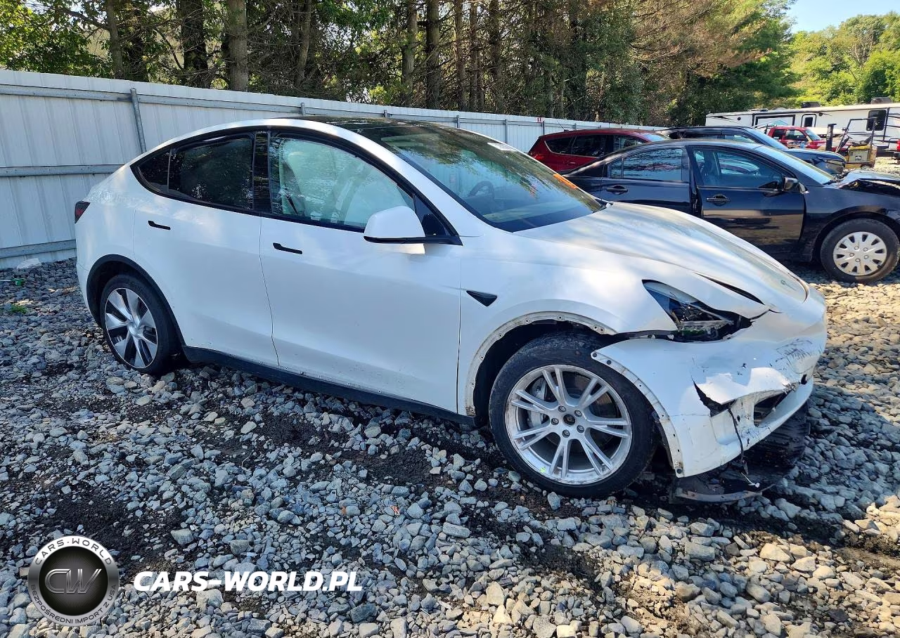 2023 Tesla Model Y VIN:7SAYGDEE9PF683342 - 4