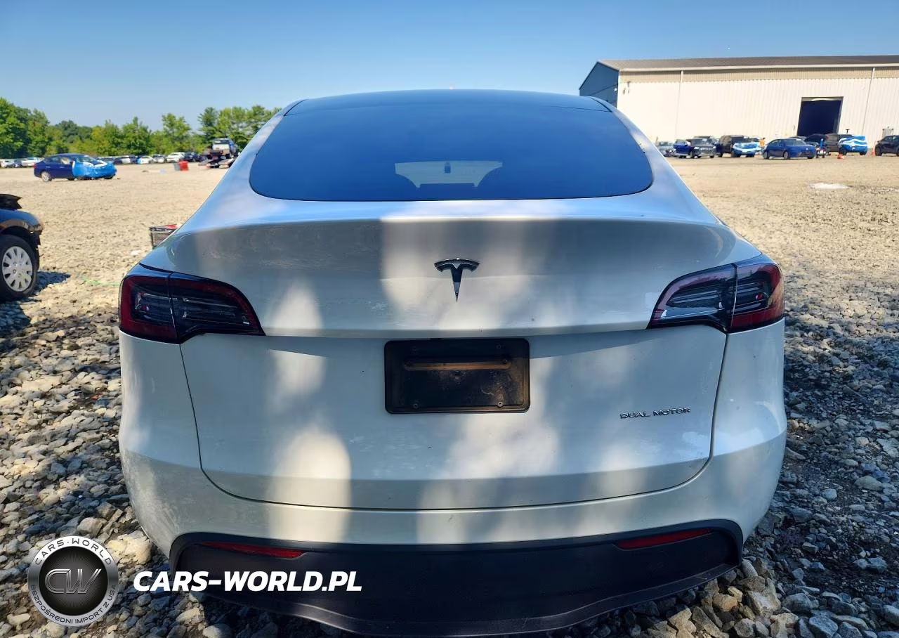 2023 Tesla Model Y VIN:7SAYGDEE9PF683342 - 6