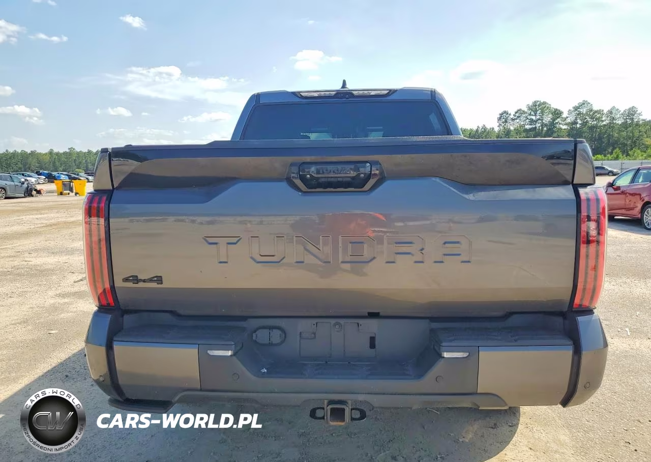 2024 Toyota Tundra Platinum Hv VIN:5TFNC5DB8RX063051 - 6