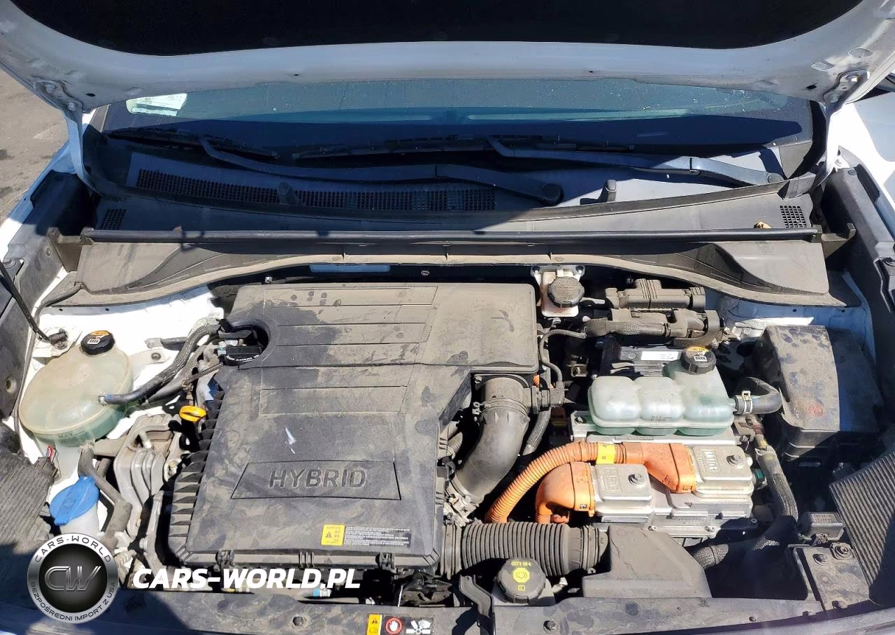 2019 Kia Niro Lx VIN:KNDCB3LC5K5300346 - 12