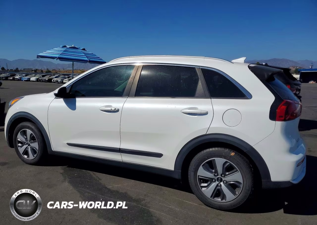 2019 Kia Niro Lx VIN:KNDCB3LC5K5300346 - 2