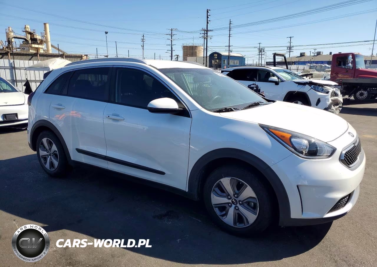 2019 Kia Niro Lx VIN:KNDCB3LC5K5300346 - 4