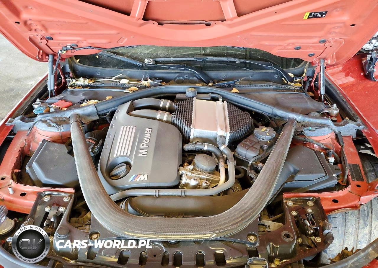 2017 BMW M3 VIN:WBS8M9C32H5G85212 - 11