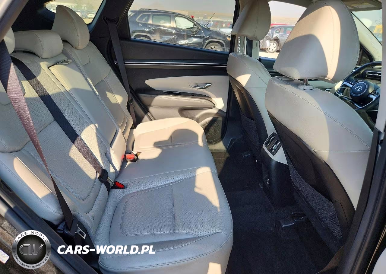 2023 Hyundai Tucson Limited VIN:KM8JECA17PU135330 - 10