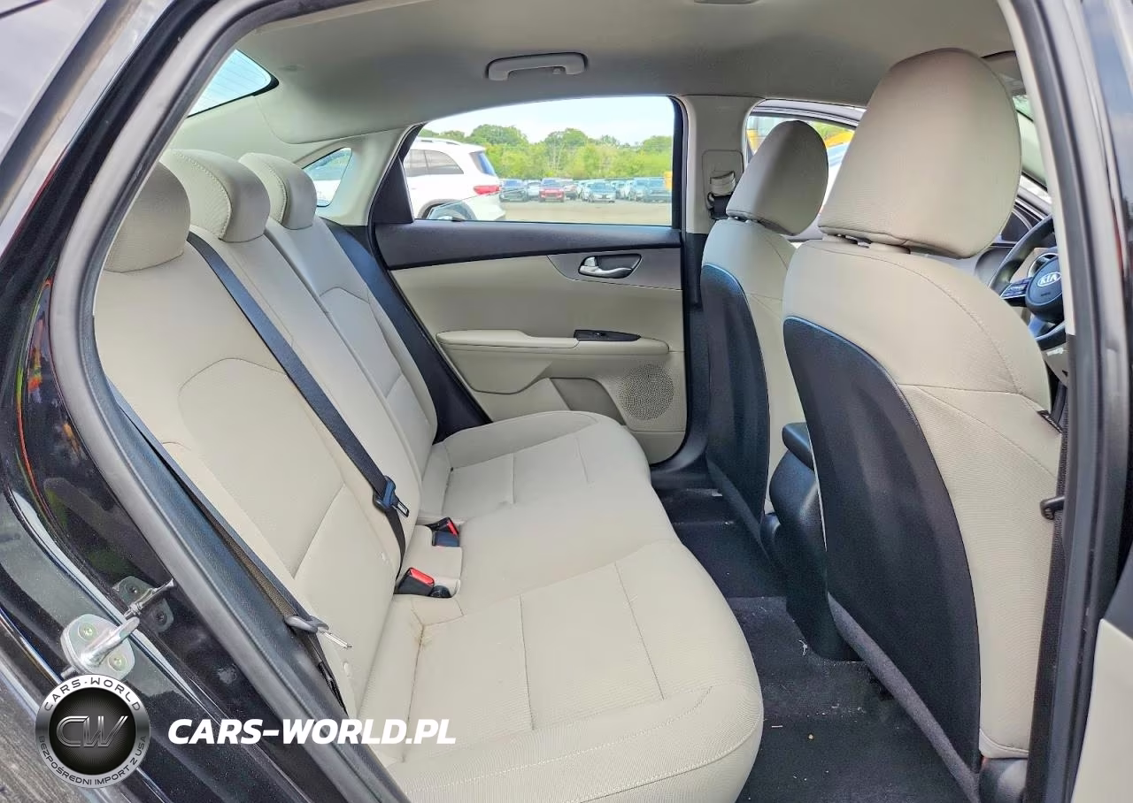 2019 Kia Forte Lxs VIN:3KPF24AD7KE044715 - 10